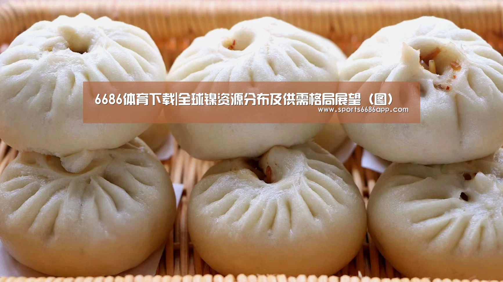6686体育下载|全球镍资源分布及供需格局展望(图)(图2) 6686体育