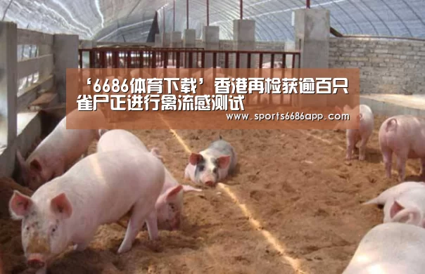 ‘6686体育下载’香港再检获逾百只雀尸正进行禽流感测试(图1) 6686体育下载