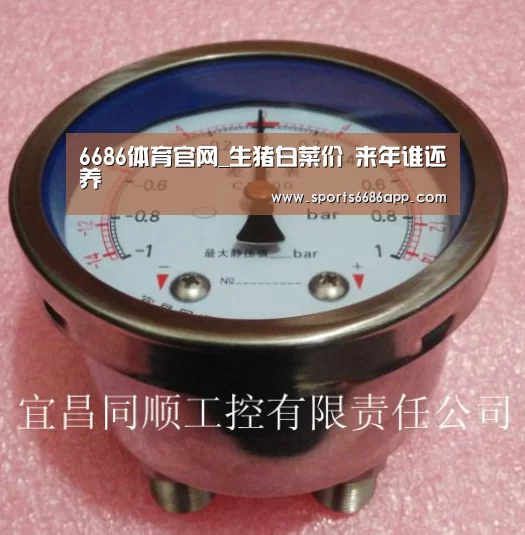6686体育官网_生猪白菜价 来年谁还养(图4) 6686体育下载