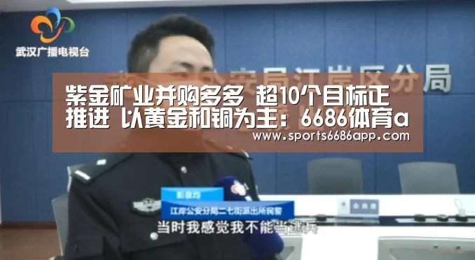 紫金矿业并购多多 超10个目标正推进 以黄金和铜为主:6686体育app(图1) 6686体育下载