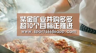 紫金矿业并购多多 超10个目标正推进 以黄金和铜为主:6686体育app(图2) 6686体育app