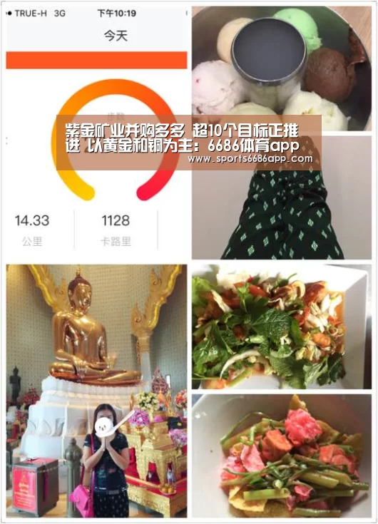 紫金矿业并购多多 超10个目标正推进 以黄金和铜为主:6686体育app(图3) 6686体育