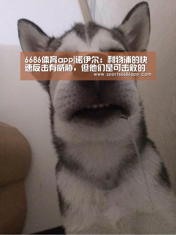 6686体育官网
