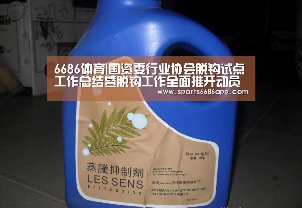 6686体育|国资委行业协会脱钩试点工作总结暨脱钩工作全面推开动员部署会议成功召开(图1) 6686体育官网