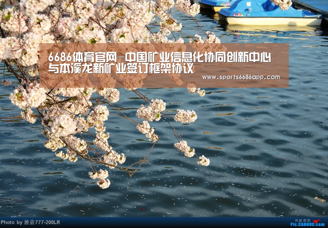 6686体育
